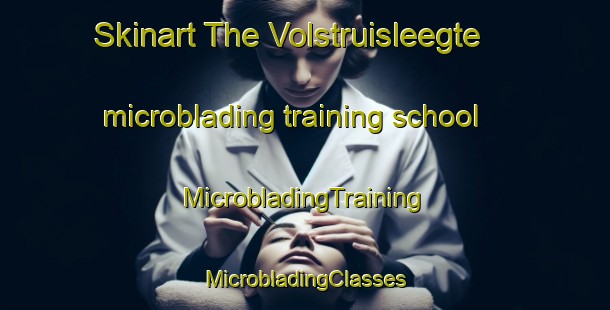 Skinart The Volstruisleegte microblading training school | #MicrobladingTraining #MicrobladingClasses #SkinartTraining-South Africa