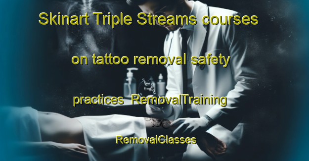 Skinart Triple Streams courses on tattoo removal safety practices | RemovalTraining | RemovalClasses | SkinartTraining-South Africa