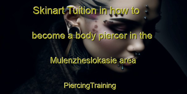 Skinart Tuition in how to become a body piercer in the Mulenzheslokasie area | PiercingTraining | PiercingClasses | SkinartTraining-South Africa