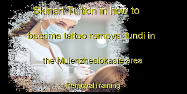 Skinart Tuition in how to become tattoo removal fundi in the Mulenzheslokasie area | RemovalTraining | RemovalClasses | SkinartTraining-South Africa