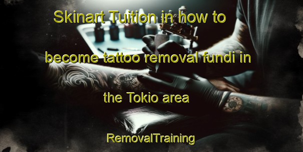 Skinart Tuition in how to become tattoo removal fundi in the Tokio area | RemovalTraining | RemovalClasses | SkinartTraining-South Africa
