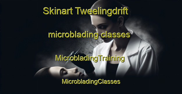 Skinart Tweelingdrift microblading classes | #MicrobladingTraining #MicrobladingClasses #SkinartTraining-South Africa