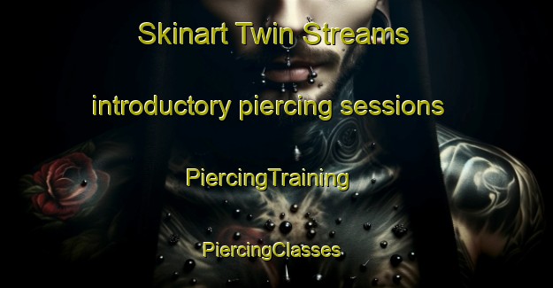 Skinart Twin Streams introductory piercing sessions | PiercingTraining | PiercingClasses | SkinartTraining-South Africa