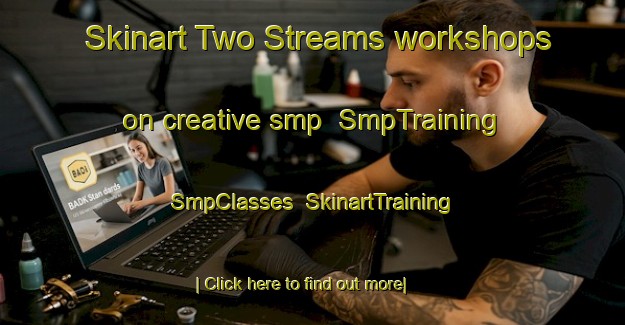 Skinart Two Streams workshops on creative smp | SmpTraining | SmpClasses | SkinartTraining-South Africa