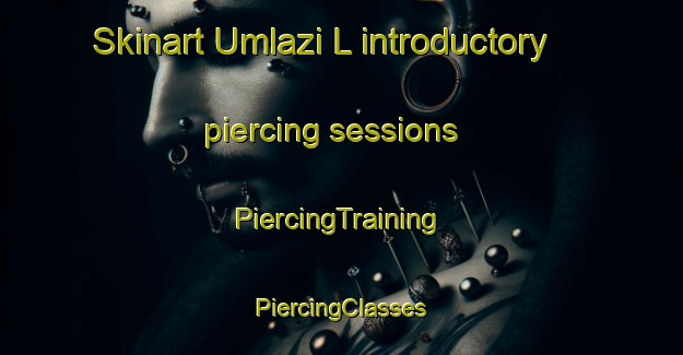 Skinart Umlazi L introductory piercing sessions | #PiercingTraining #PiercingClasses #SkinartTraining-South Africa