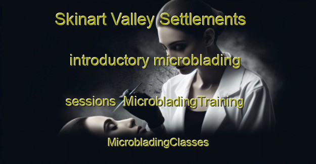 Skinart Valley Settlements introductory microblading sessions | #MicrobladingTraining #MicrobladingClasses #SkinartTraining-South Africa