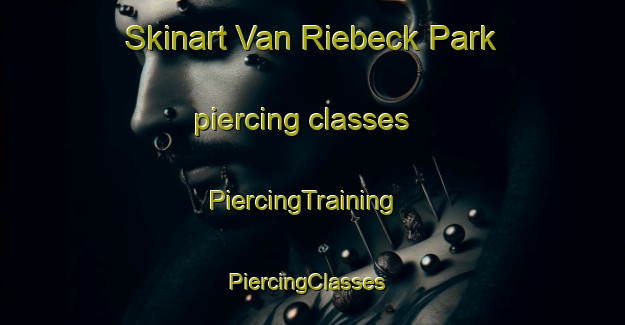 Skinart Van Riebeck Park piercing classes | PiercingTraining | PiercingClasses | SkinartTraining-South Africa