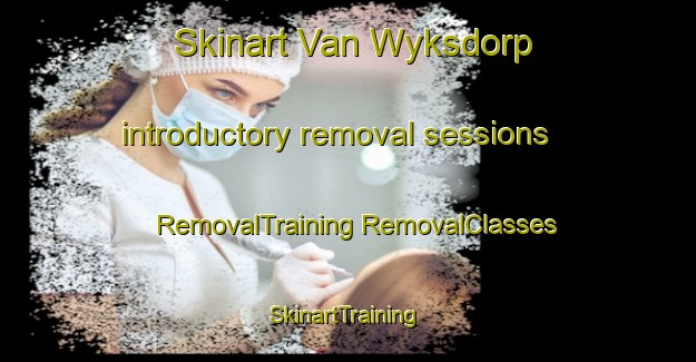 Skinart Van Wyksdorp introductory removal sessions | #RemovalTraining #RemovalClasses #SkinartTraining-South Africa