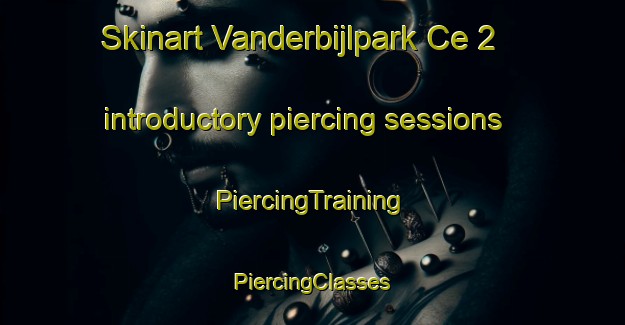 Skinart Vanderbijlpark Ce 2 introductory piercing sessions | #PiercingTraining #PiercingClasses #SkinartTraining-South Africa