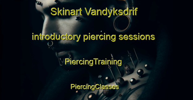 Skinart Vandyksdrif introductory piercing sessions | PiercingTraining | PiercingClasses | SkinartTraining-South Africa