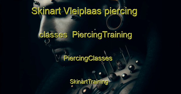Skinart Vleiplaas piercing classes | PiercingTraining | PiercingClasses | SkinartTraining-South Africa