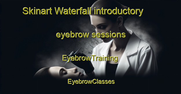 Skinart Waterfall introductory eyebrow sessions | EyebrowTraining | EyebrowClasses | SkinartTraining-South Africa