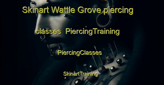 Skinart Wattle Grove piercing classes | PiercingTraining | PiercingClasses | SkinartTraining-South Africa