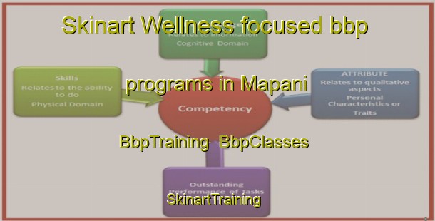 Skinart Wellness-focused bbp programs in Mapani | BbpTraining | BbpClasses | SkinartTraining-South Africa