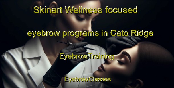 Skinart Wellness-focused eyebrow programs in Cato Ridge | EyebrowTraining | EyebrowClasses | SkinartTraining-South Africa