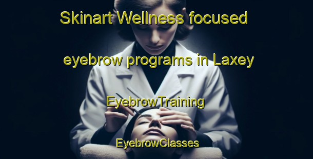 Skinart Wellness-focused eyebrow programs in Laxey | EyebrowTraining | EyebrowClasses | SkinartTraining-South Africa