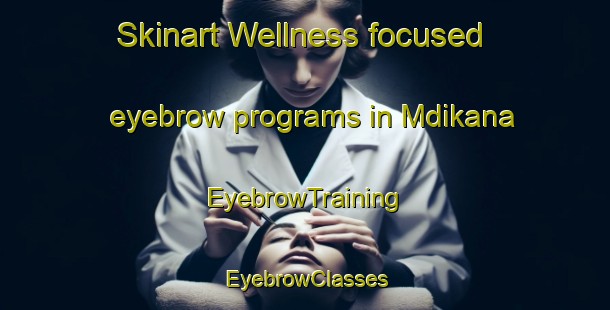 Skinart Wellness-focused eyebrow programs in Mdikana | EyebrowTraining | EyebrowClasses | SkinartTraining-South Africa