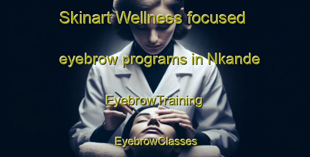 Skinart Wellness-focused eyebrow programs in Nkande | EyebrowTraining | EyebrowClasses | SkinartTraining-South Africa