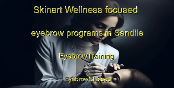 Skinart Wellness-focused eyebrow programs in Sandile | EyebrowTraining | EyebrowClasses | SkinartTraining-South Africa