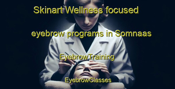 Skinart Wellness-focused eyebrow programs in Somnaas | EyebrowTraining | EyebrowClasses | SkinartTraining-South Africa