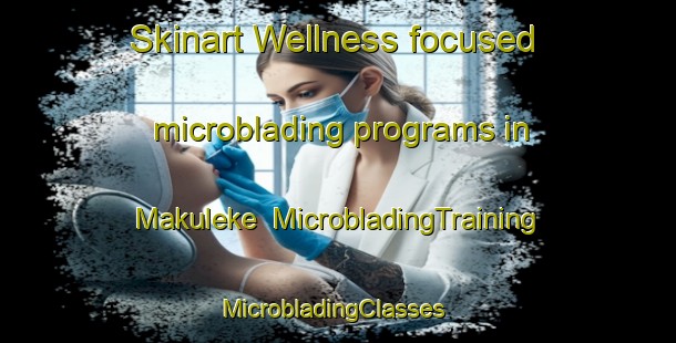 Skinart Wellness-focused microblading programs in Makuleke | MicrobladingTraining | MicrobladingClasses | SkinartTraining-South Africa