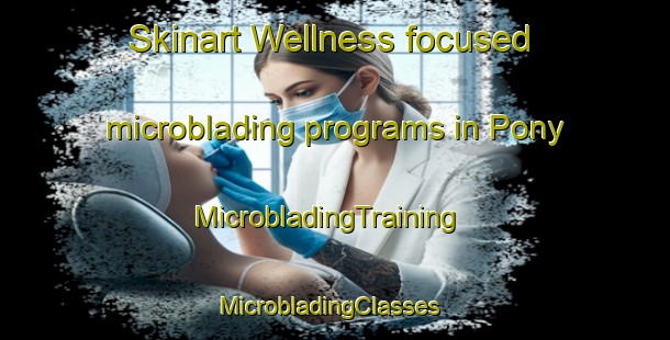 Skinart Wellness-focused microblading programs in Pony | MicrobladingTraining | MicrobladingClasses | SkinartTraining-South Africa