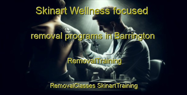 Skinart Wellness-focused removal programs in Barrington | #RemovalTraining #RemovalClasses #SkinartTraining-South Africa