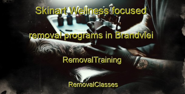 Skinart Wellness-focused removal programs in Brandvlei | RemovalTraining | RemovalClasses | SkinartTraining-South Africa