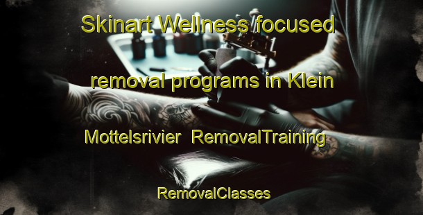 Skinart Wellness-focused removal programs in Klein Mottelsrivier | RemovalTraining | RemovalClasses | SkinartTraining-South Africa