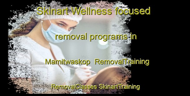 Skinart Wellness-focused removal programs in Mamitwaskop | #RemovalTraining #RemovalClasses #SkinartTraining-South Africa