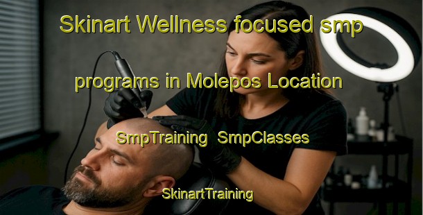 Skinart Wellness-focused smp programs in Molepos Location | SmpTraining | SmpClasses | SkinartTraining-South Africa