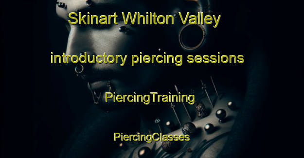 Skinart Whilton Valley introductory piercing sessions | #PiercingTraining #PiercingClasses #SkinartTraining-South Africa