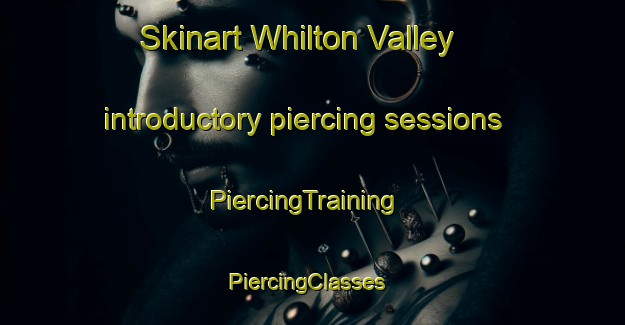Skinart Whilton Valley introductory piercing sessions | PiercingTraining | PiercingClasses | SkinartTraining-South Africa