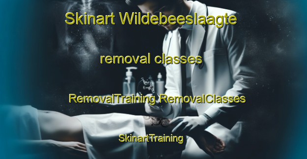 Skinart Wildebeeslaagte removal classes | #RemovalTraining #RemovalClasses #SkinartTraining-South Africa