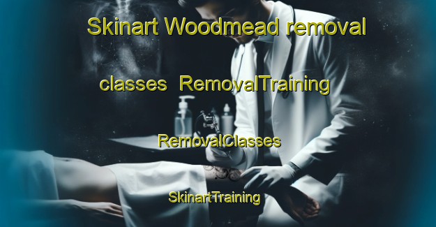Skinart Woodmead removal classes | RemovalTraining | RemovalClasses | SkinartTraining-South Africa