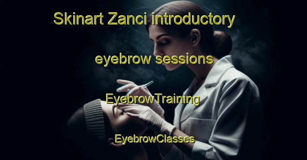 Skinart Zanci introductory eyebrow sessions | EyebrowTraining | EyebrowClasses | SkinartTraining-South Africa