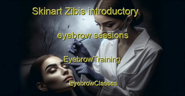 Skinart Zibis introductory eyebrow sessions | EyebrowTraining | EyebrowClasses | SkinartTraining-South Africa