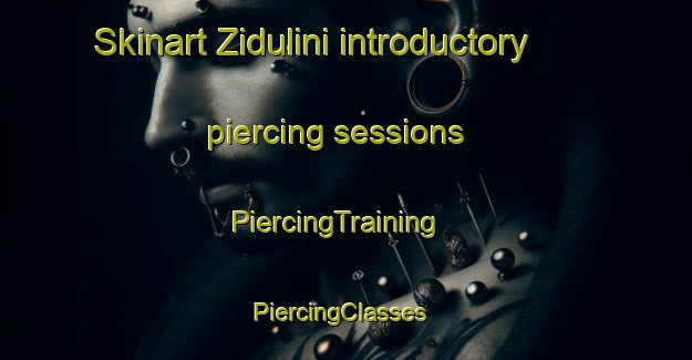 Skinart Zidulini introductory piercing sessions | PiercingTraining | PiercingClasses | SkinartTraining-South Africa