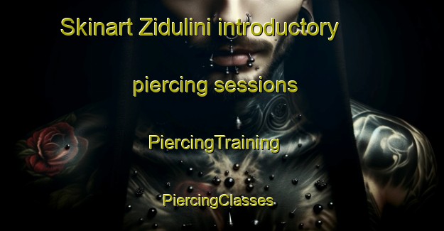 Skinart Zidulini introductory piercing sessions | PiercingTraining | PiercingClasses | SkinartTraining-South Africa