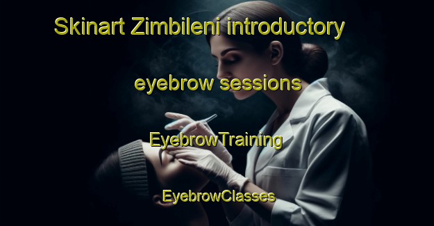 Skinart Zimbileni introductory eyebrow sessions | EyebrowTraining | EyebrowClasses | SkinartTraining-South Africa